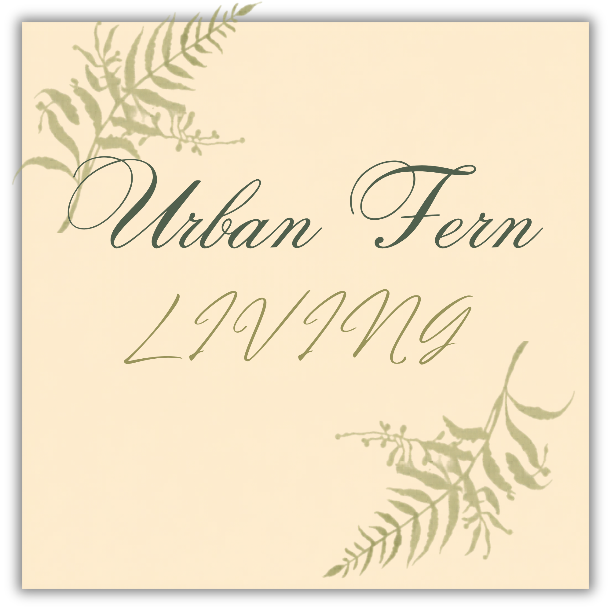 Urban Fern Living