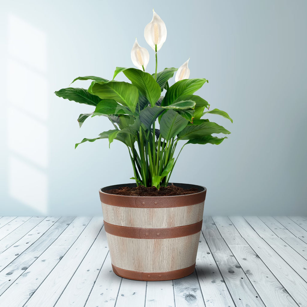 12.9" X 12.9" X 10" Whiskey Barrel Light Brown 100% Recycled Resin Planter